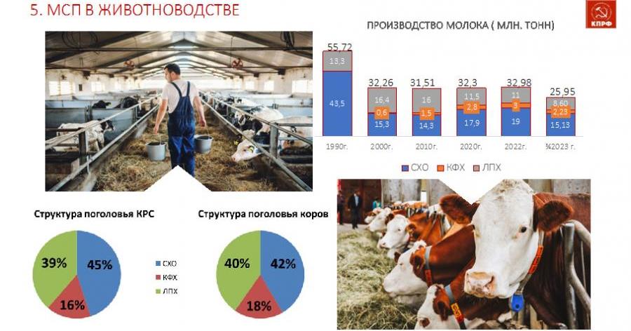 Доклад В.И. Кашина на «парламентских слушаниях» на тему: «Развитие малого и среднего предпринимательства в Российской Федерации: задачи, перспективы, законодательное обеспечение»