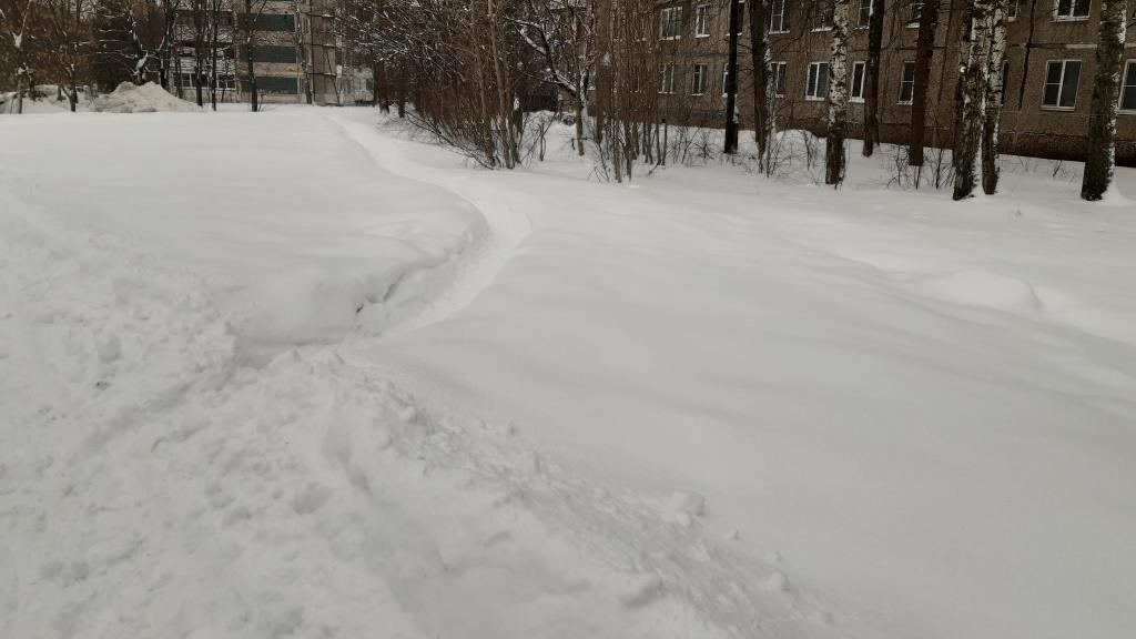 «Своевременная» уборка снега