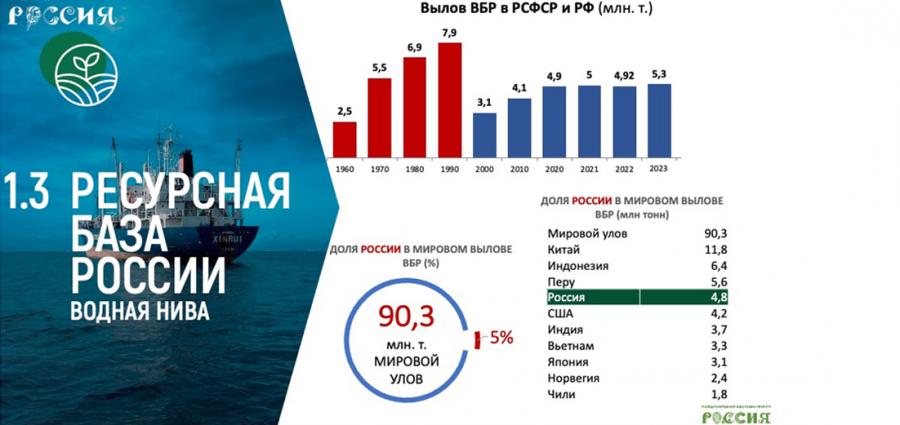 В.И. Кашин: «Правда - наш успех»