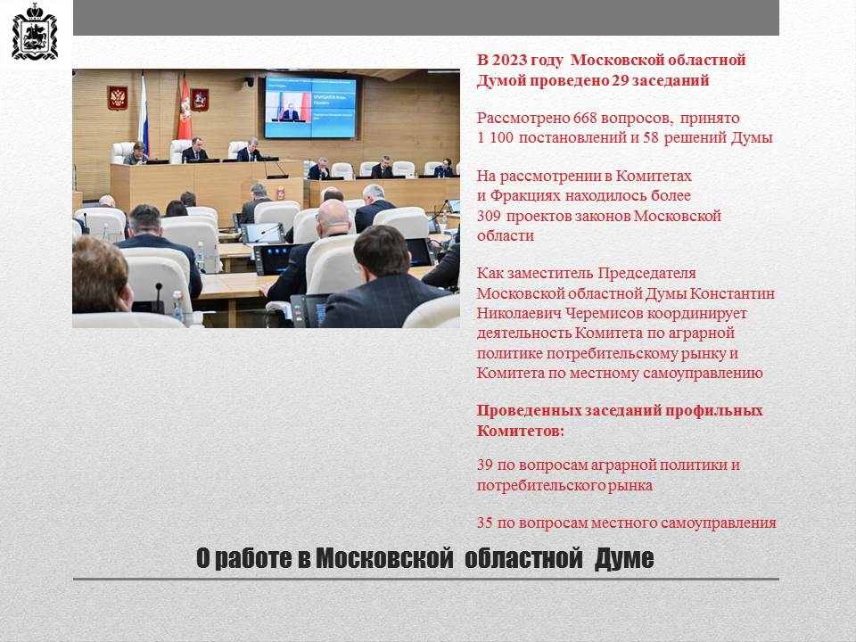 Отчет о работе за 2023 год заместителя председателя МОД Черемисова К.Н.