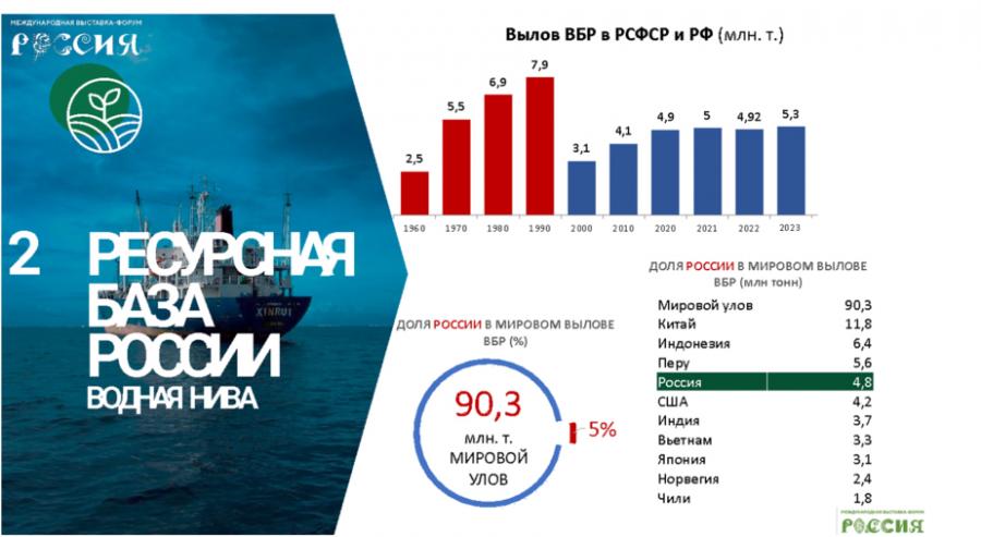 Доклад Владимира Кашина на парламентских слушаниях на тему: «Законодательное обеспечение и государственная поддержка развития малых форм хозяйствования в агропромышленном комплексе»