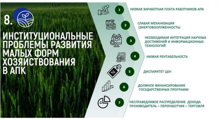 Доклад Владимира Кашина на парламентских слушаниях на тему: «Законодательное обеспечение и государственная поддержка развития малых форм хозяйствования в агропромышленном комплексе»