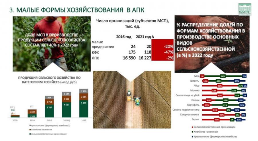 Доклад Владимира Кашина на парламентских слушаниях на тему: «Законодательное обеспечение и государственная поддержка развития малых форм хозяйствования в агропромышленном комплексе»