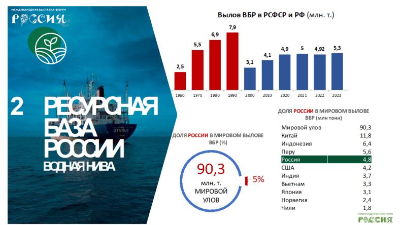Владимир Кашин выступил на заседании Государственной Думы