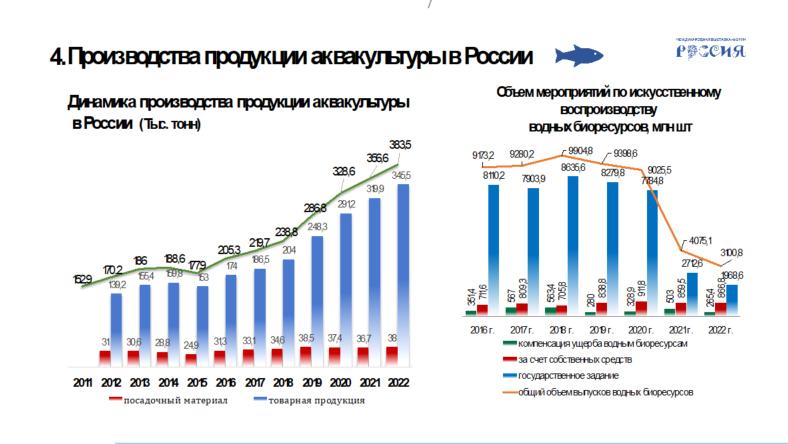 Владимир Кашин выступил на заседании Государственной Думы