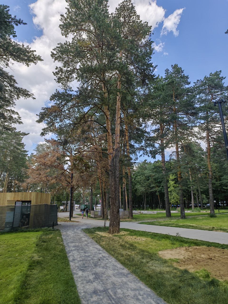 Депутат Московской областной Думы от КПРФ Татьяна Никитас посетила городской парк в городе Жуковский