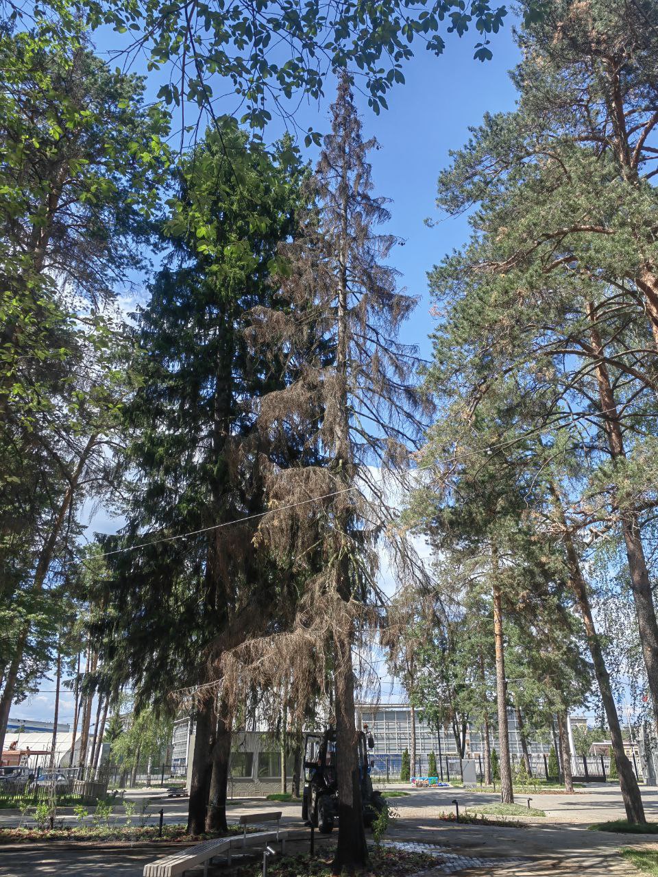 Депутат Московской областной Думы от КПРФ Татьяна Никитас посетила городской парк в городе Жуковский