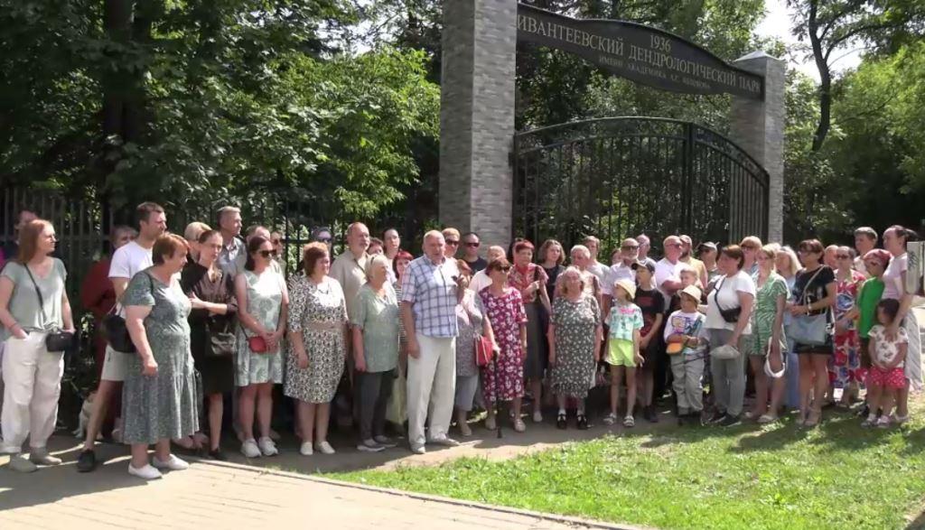Не рубите дерева, не рубите!