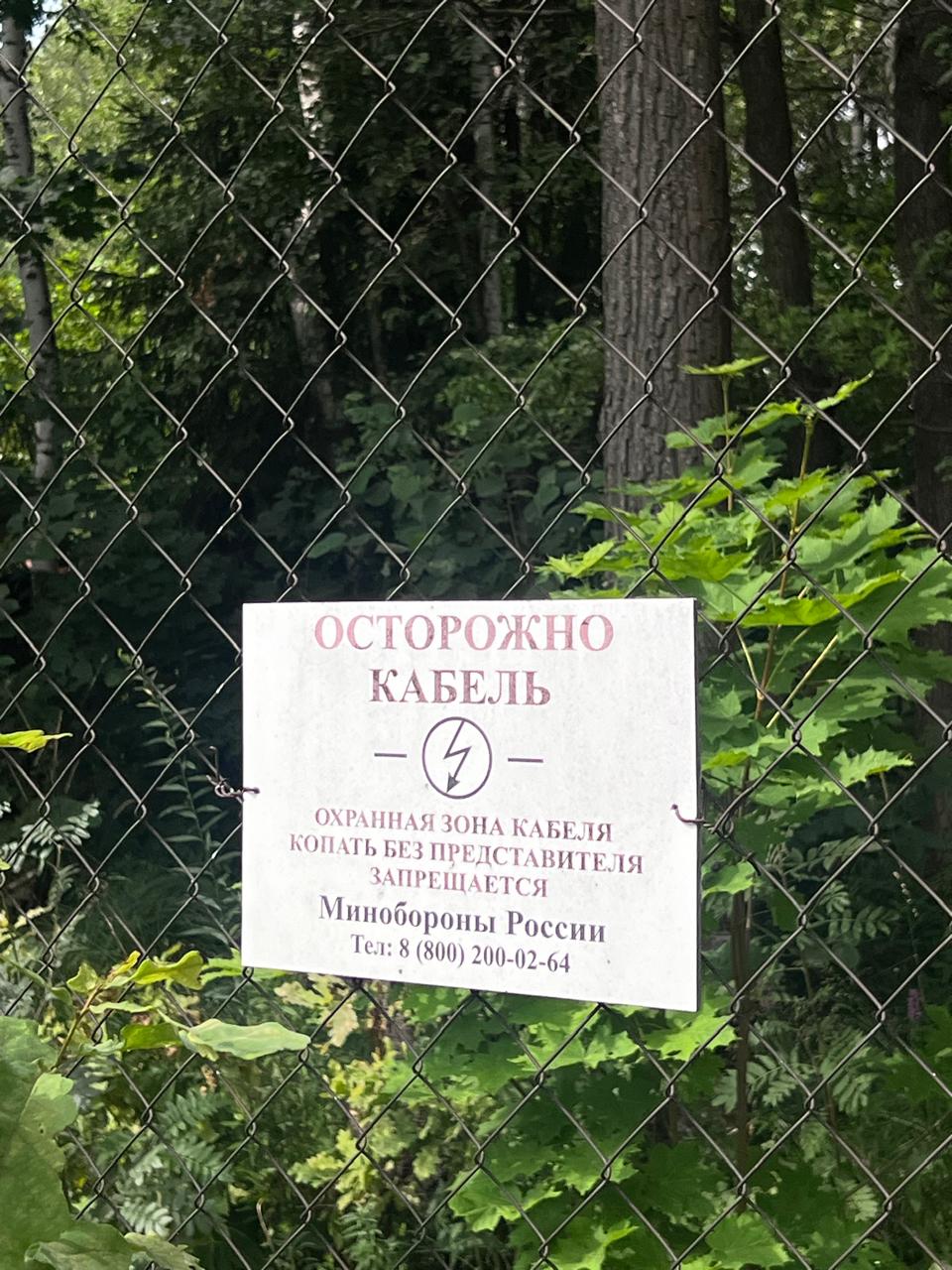 Белые опять наступают