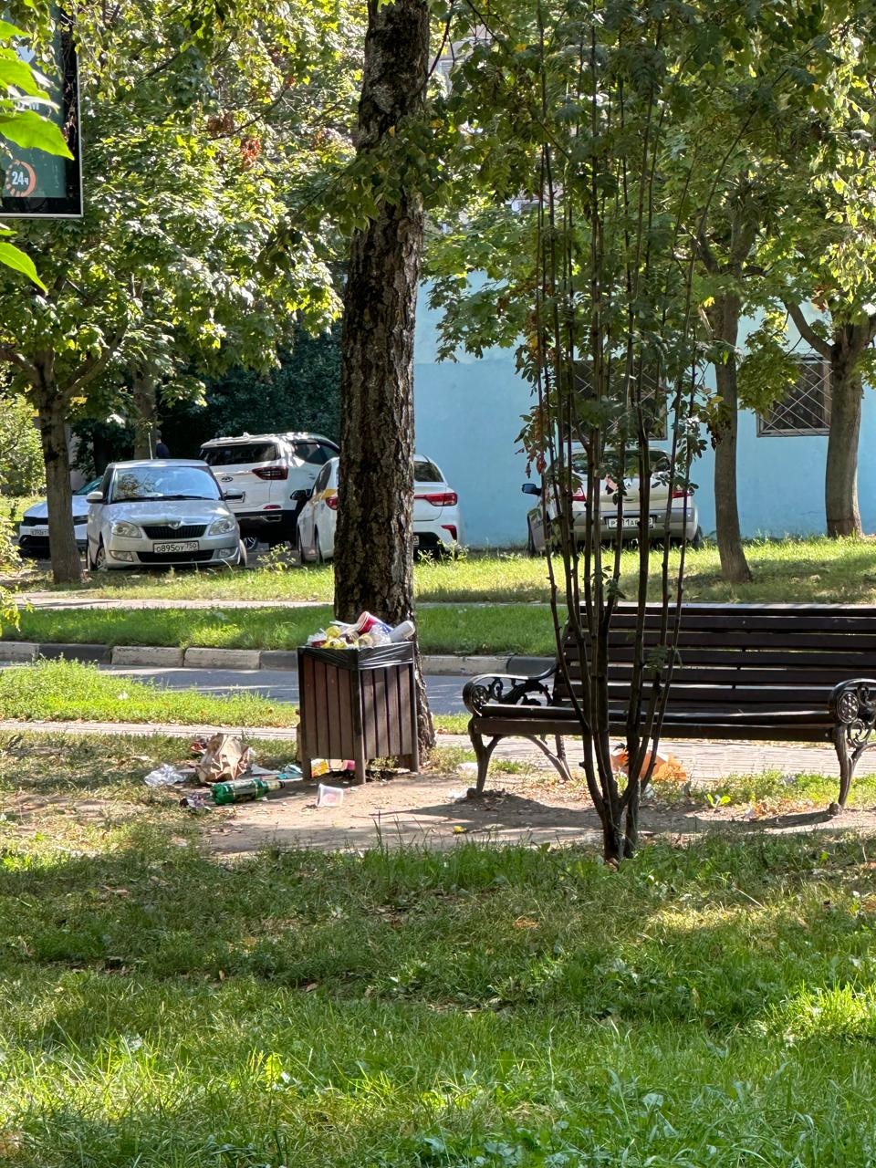 Встреча в Рябиновом сквере!