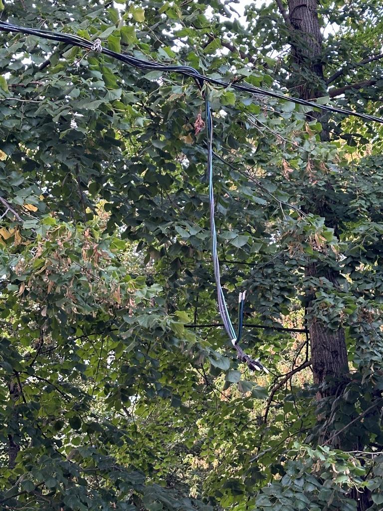 В Королёве депутат-коммунист Светлана Петрова встретилась с родителями детского сада