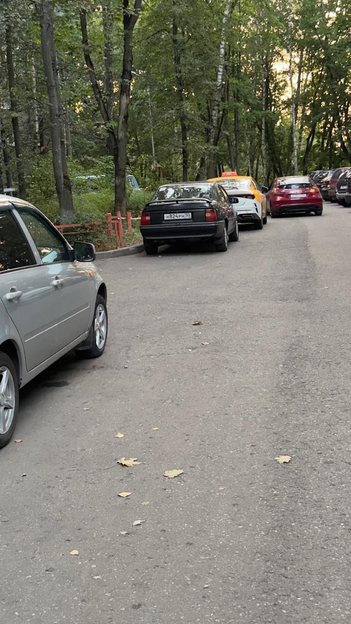 Встреча кандидата в депутаты Совета депутатов по №2 избирательному округу Антонова Алексея с жителями города по улице Школьная мкр. Болшево