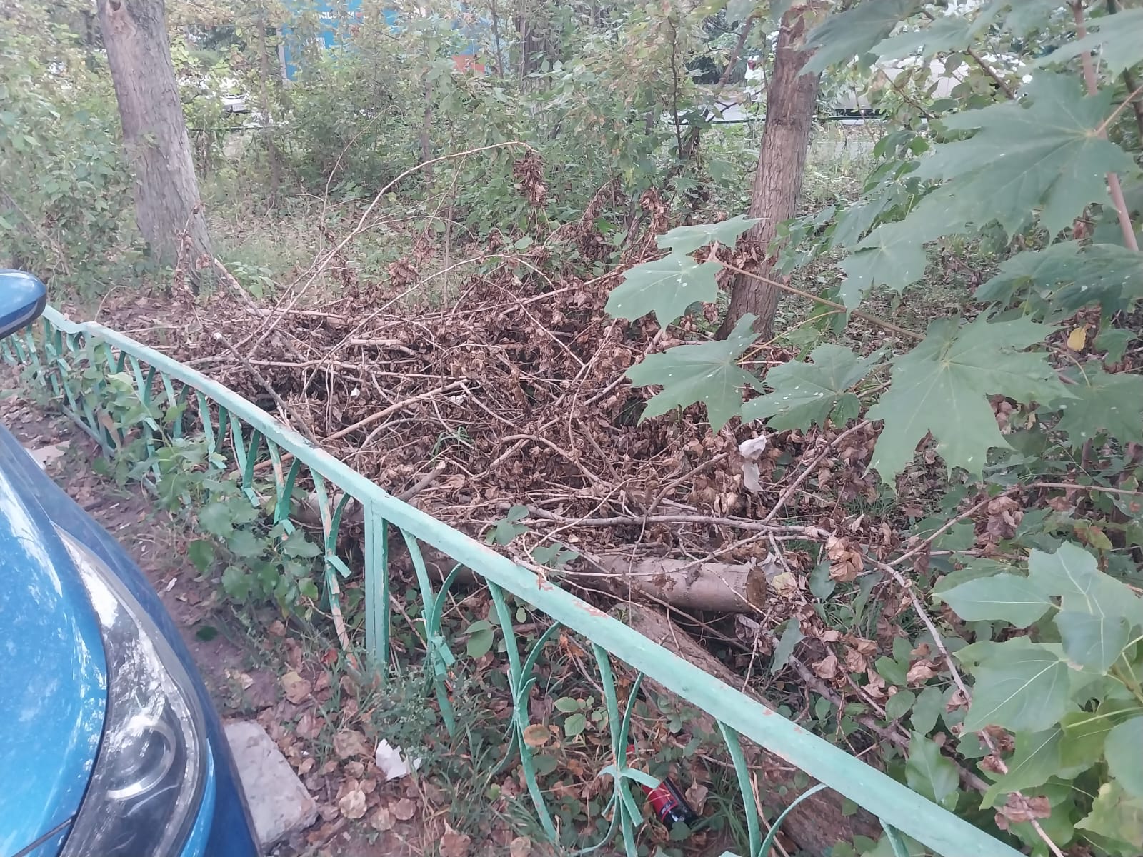 28 августа прошла встреча кандидата в депутаты Совета депутатов г.о. Королёв от партии КПРФ по №4 избирательному округу Ушаковой Натальи с жителями города по ул. Кирова, д.1, 3, 5, 7