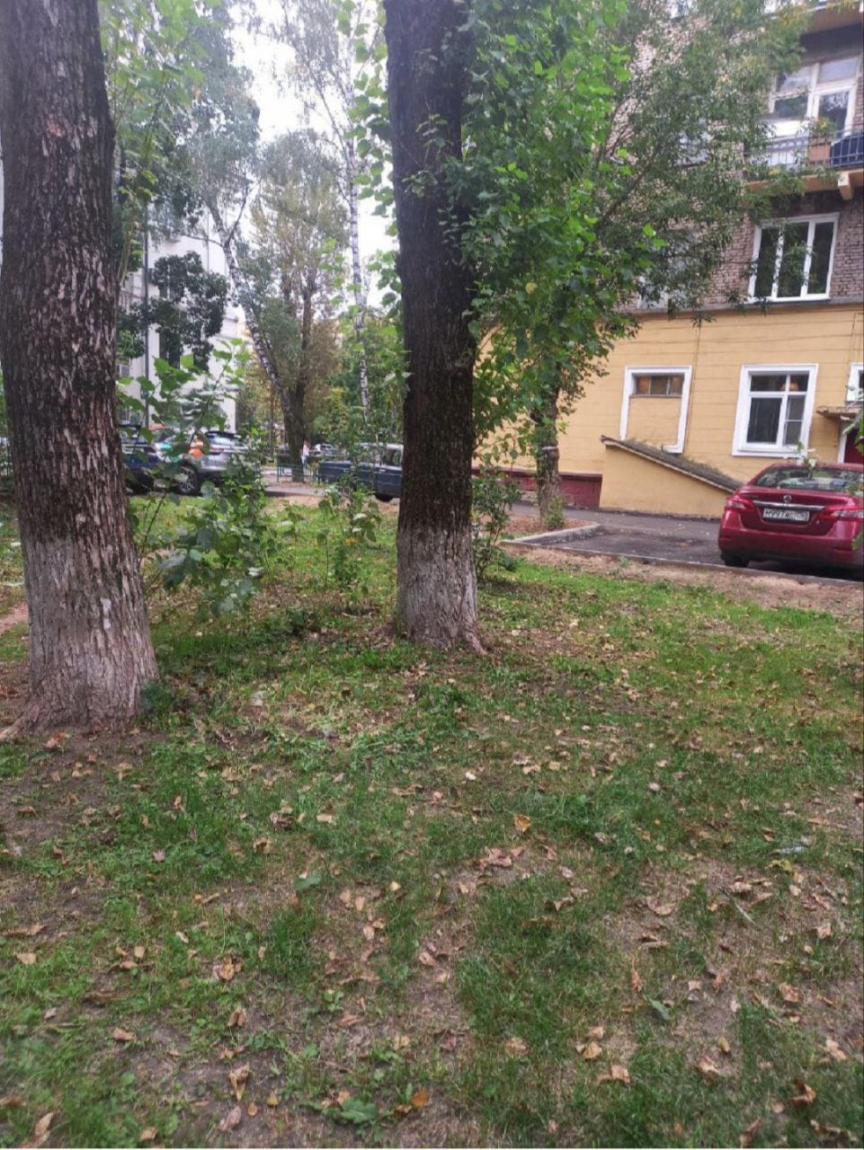 Новые достижения в борьбе за права граждан - кандидат Клим Шумихин выполнил наказы жителей