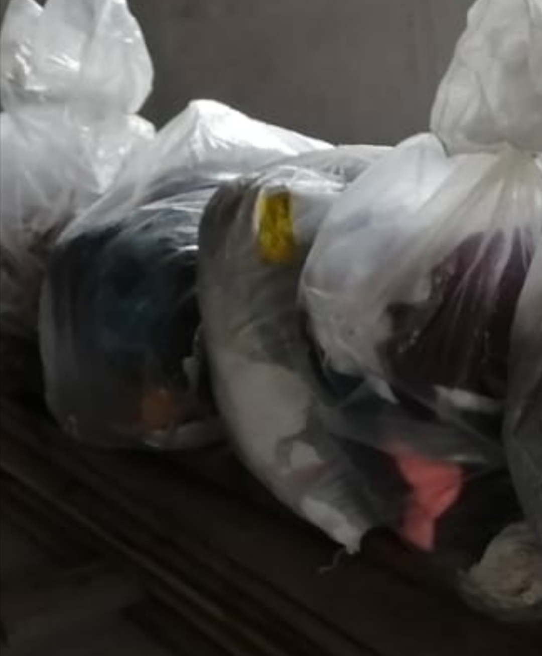 Лотошинские коммунисты выполняют важнейшую задачу сегодняшнего дня