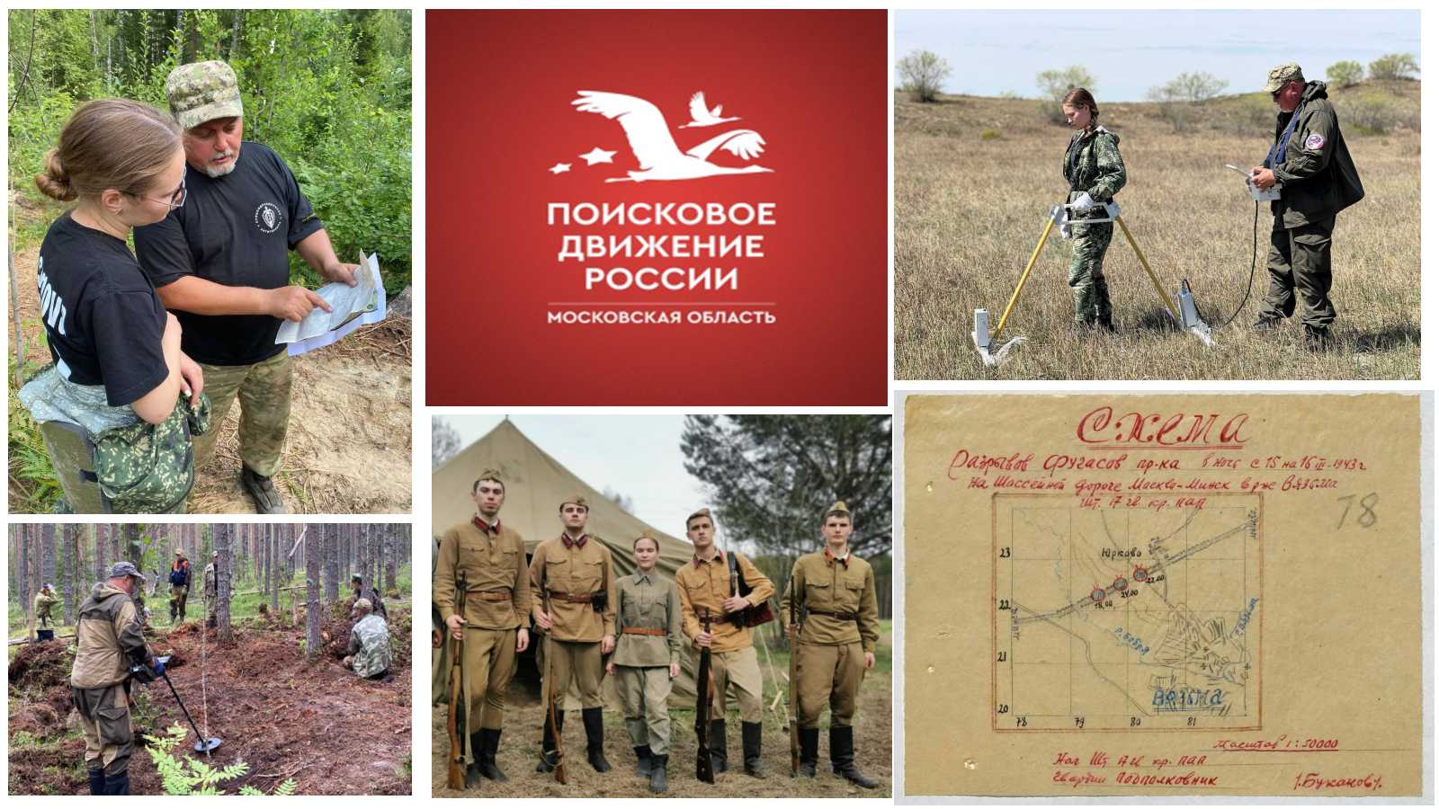 Поисковое движение Московской области