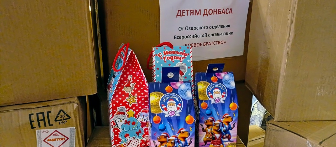 Новогодние подарки детям Донбасса от Озерчан