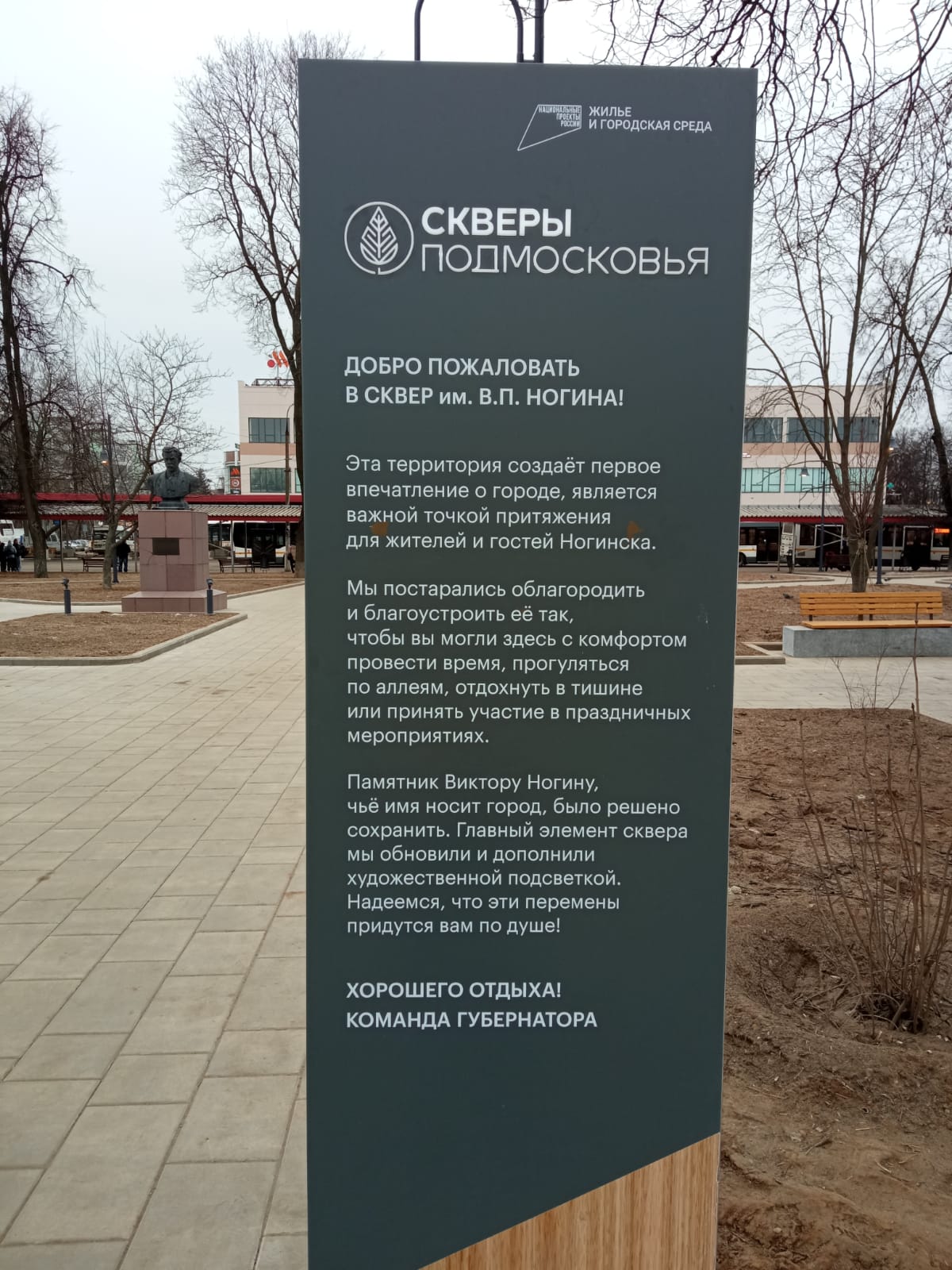 Протестное мероприятие в Ногинске