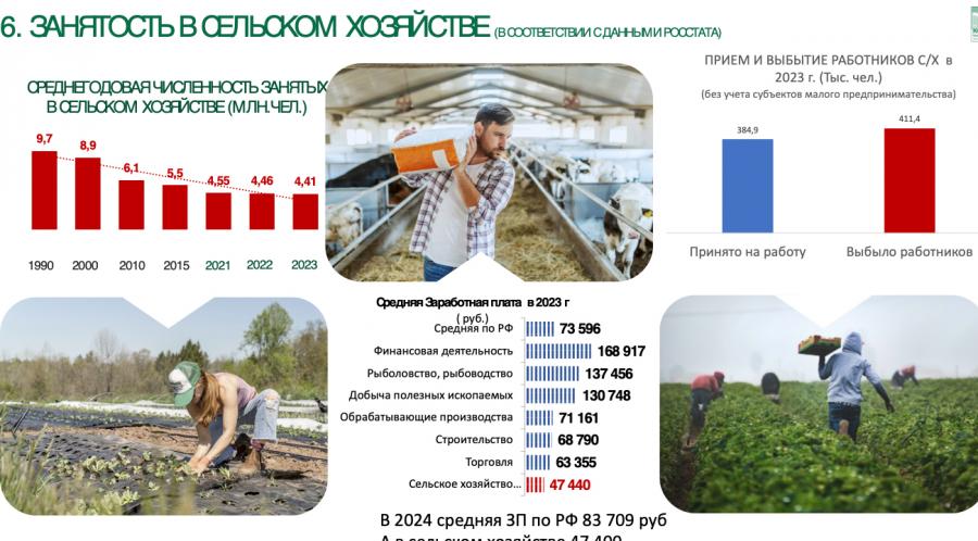 В.И. Кашин: «Молочное животноводство — фундамент для устойчивого развития села»