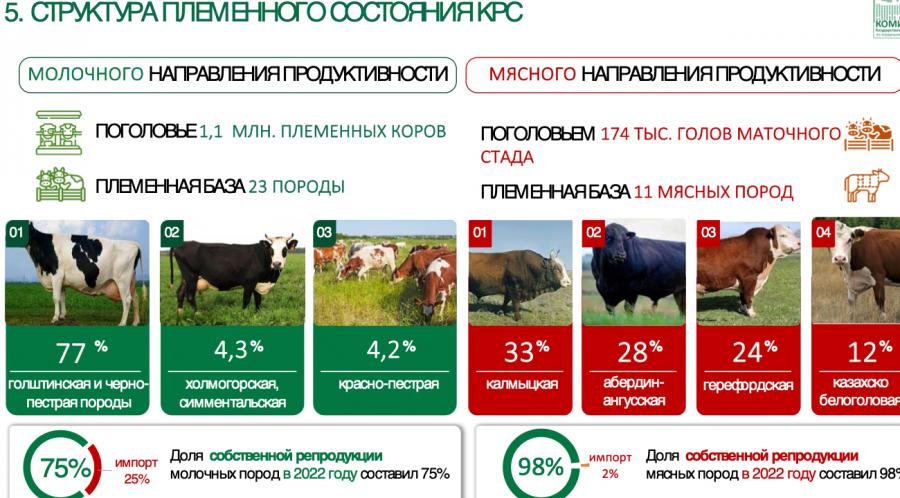 В.И. Кашин: «Молочное животноводство — фундамент для устойчивого развития села»