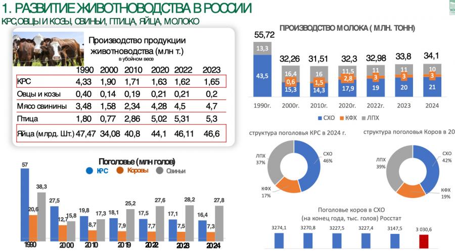 В.И. Кашин: «Молочное животноводство — фундамент для устойчивого развития села»