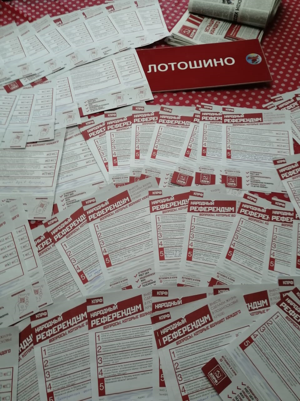 Первички решают важные задачи партии