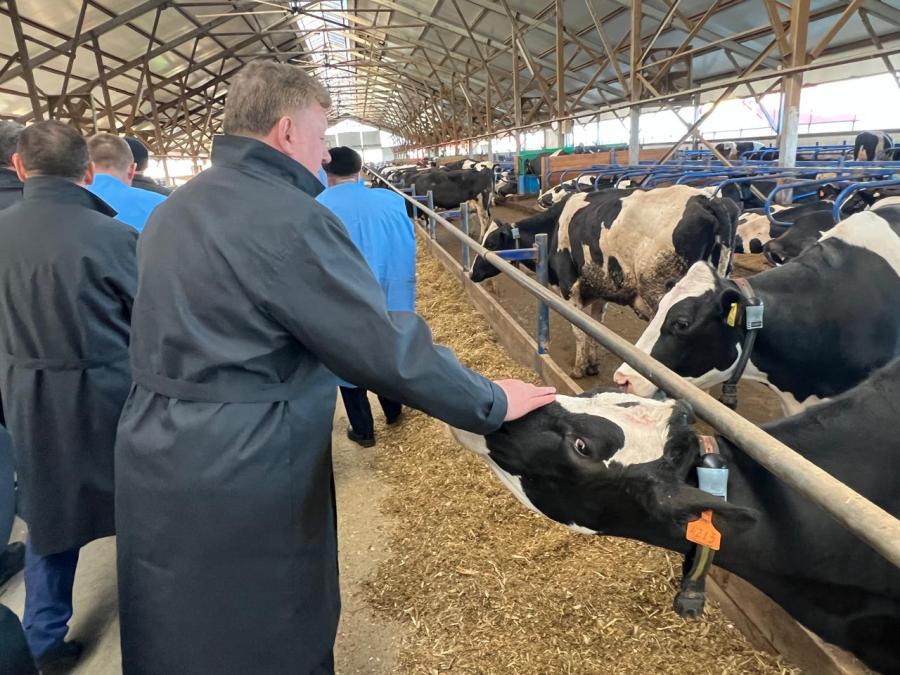 В ходе рабочего визита в Чувашию Владимир Кашин открыл новый цех по переработке мясной продукции и посетил молочное производство