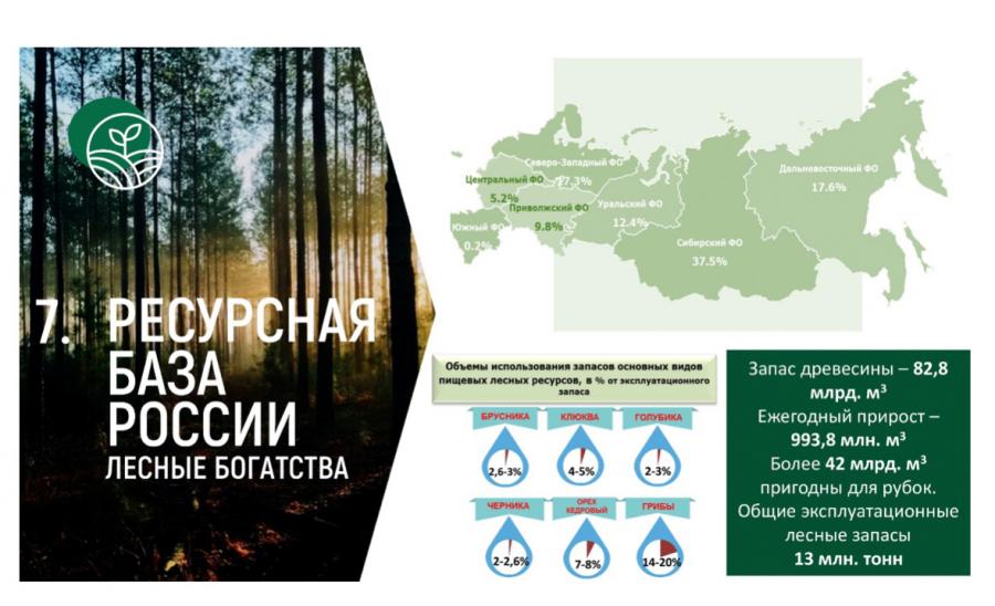 В.И. Кашин: «Народу победителю - достойную жизнь!»