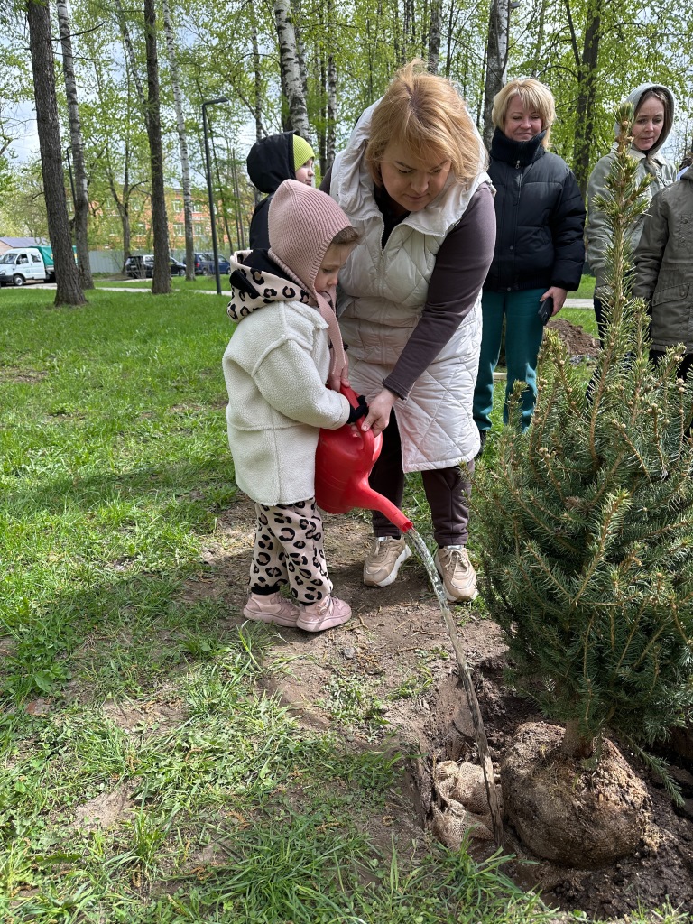 Королёвские депутаты фракции КПРФ городского Совета депутатов приняли участие в акции «Сад Памяти» и «Кедры Подмосковья»