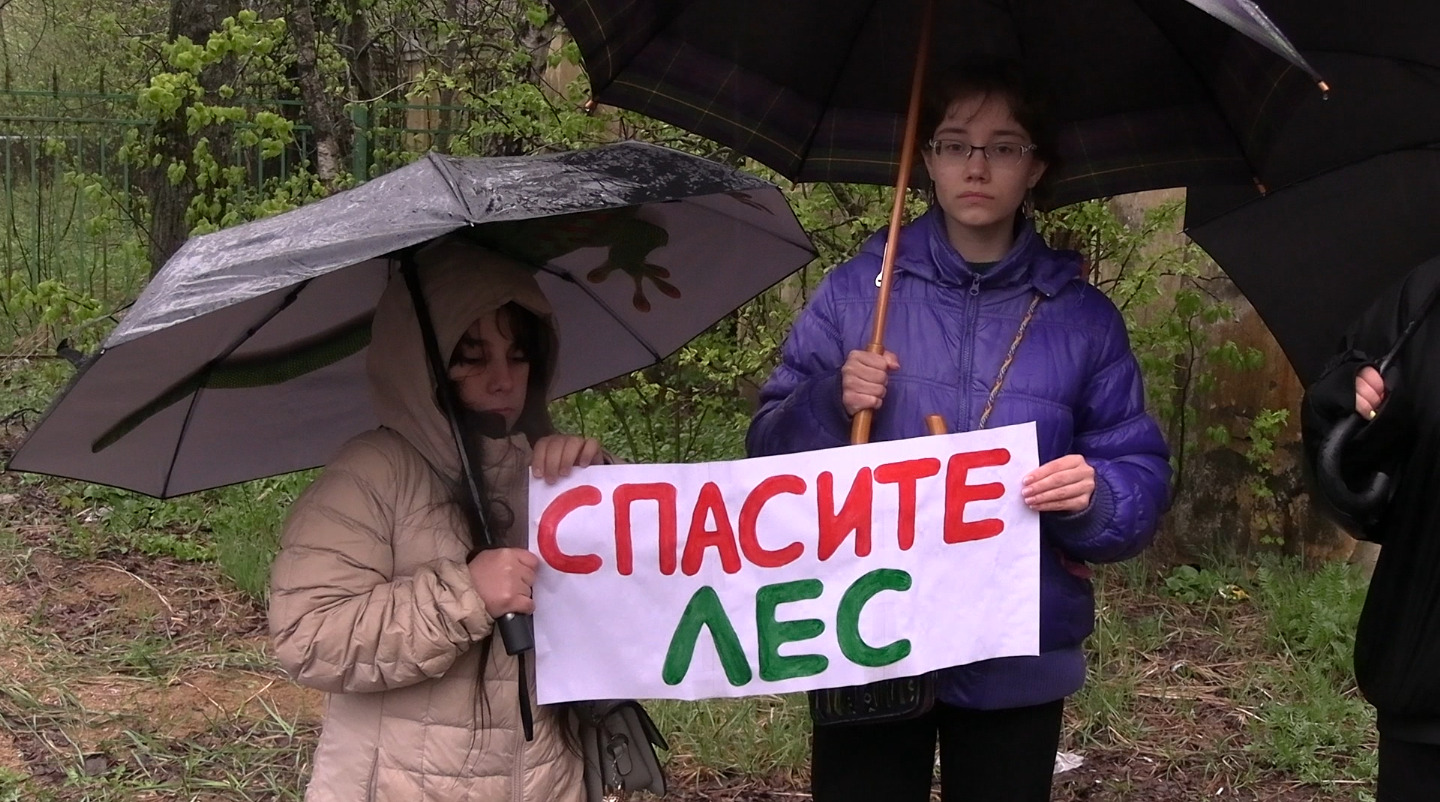 Зов из Лесного о помощи в защите леса услышан
