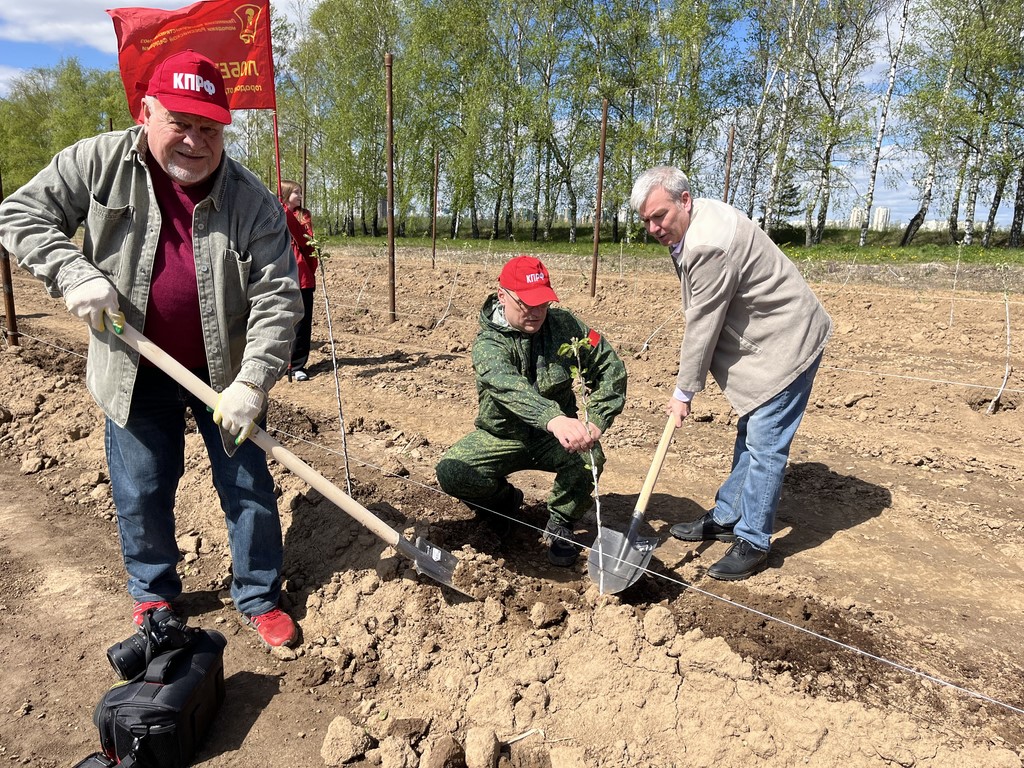 В подмосковном совхозе им. Ленина КПРФ посадила «Сад Победы - Сад жизни»