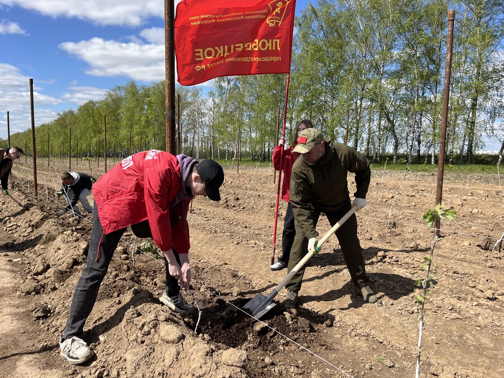 В подмосковном совхозе им. Ленина КПРФ посадила «Сад Победы - Сад жизни»