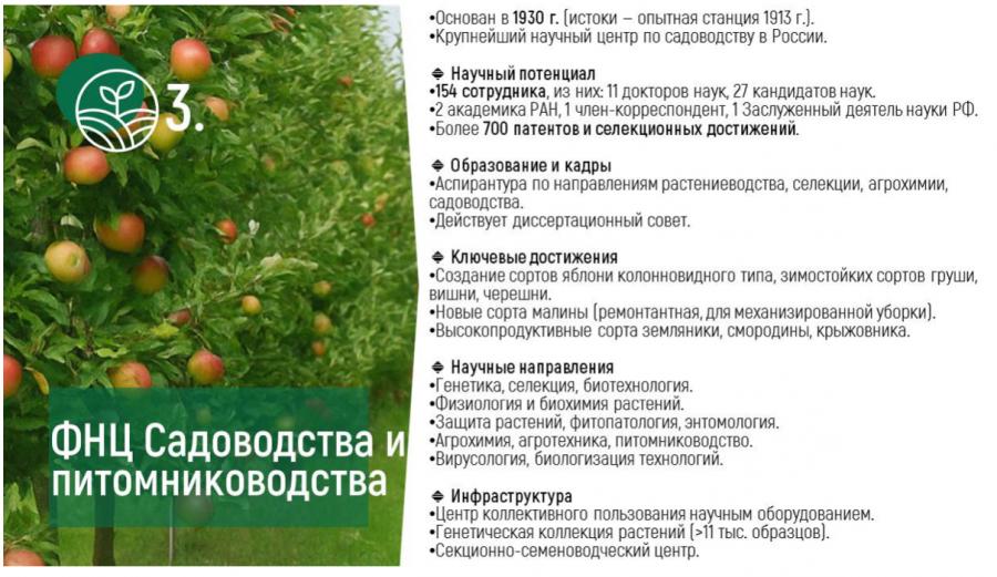 Владимир Кашин выступил с докладом на XV Международном форуме «Дни сада в Бирюлево»