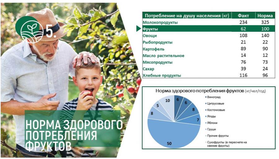 Владимир Кашин выступил с докладом на XV Международном форуме «Дни сада в Бирюлево»