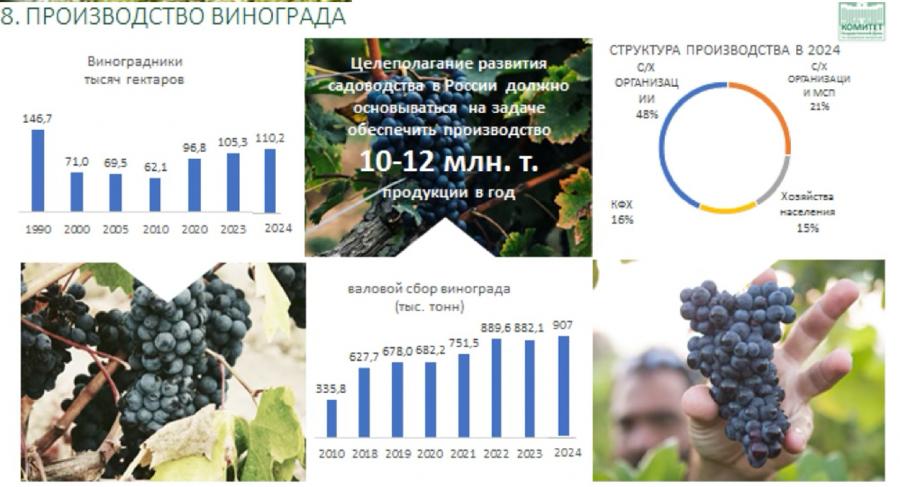 Владимир Кашин выступил с докладом на XV Международном форуме «Дни сада в Бирюлево»