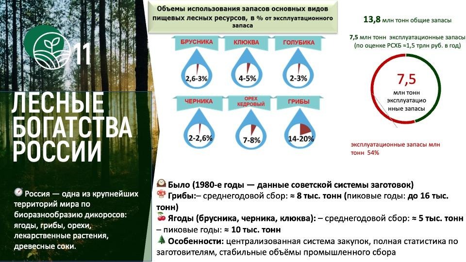 Владимир Кашин: «Зеленый свет сельскохозяйственной и потребительской кооперации»