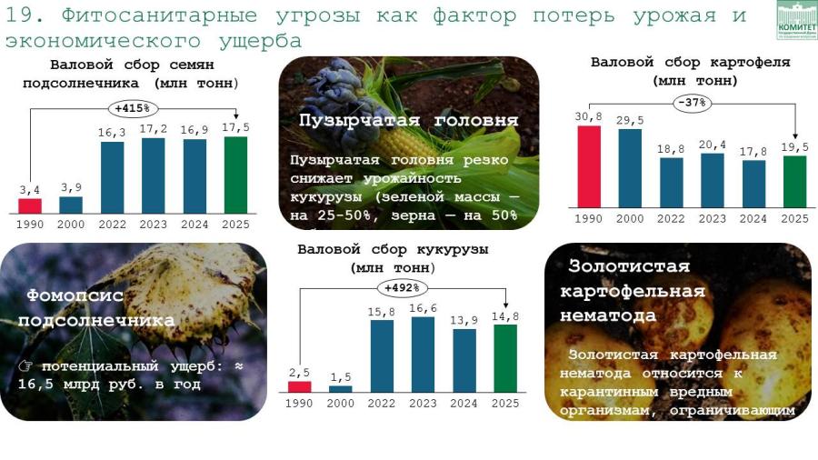 Доклад В.И. Кашина на заседании комитета по вопросу о Национальном докладе Россельхознадзора о карантинном фитосанитарном состоянии России