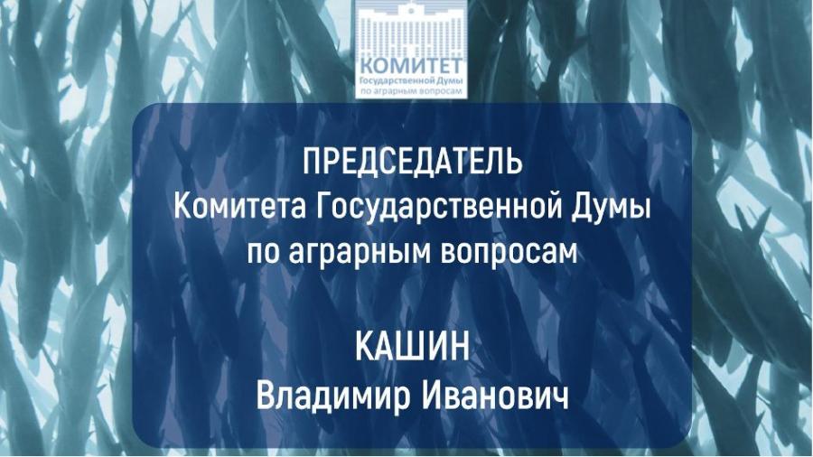 Владимир Кашин: «Водной державе достойный улов»