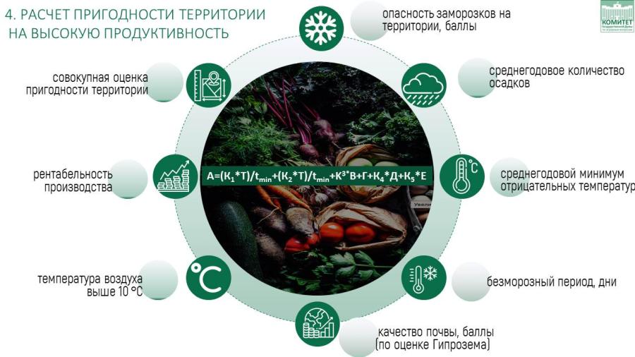 В.И. Кашин выступил с докладом на конференции по картофелеводству в «ФИЦ картофеля им. А.Г. Лорха»