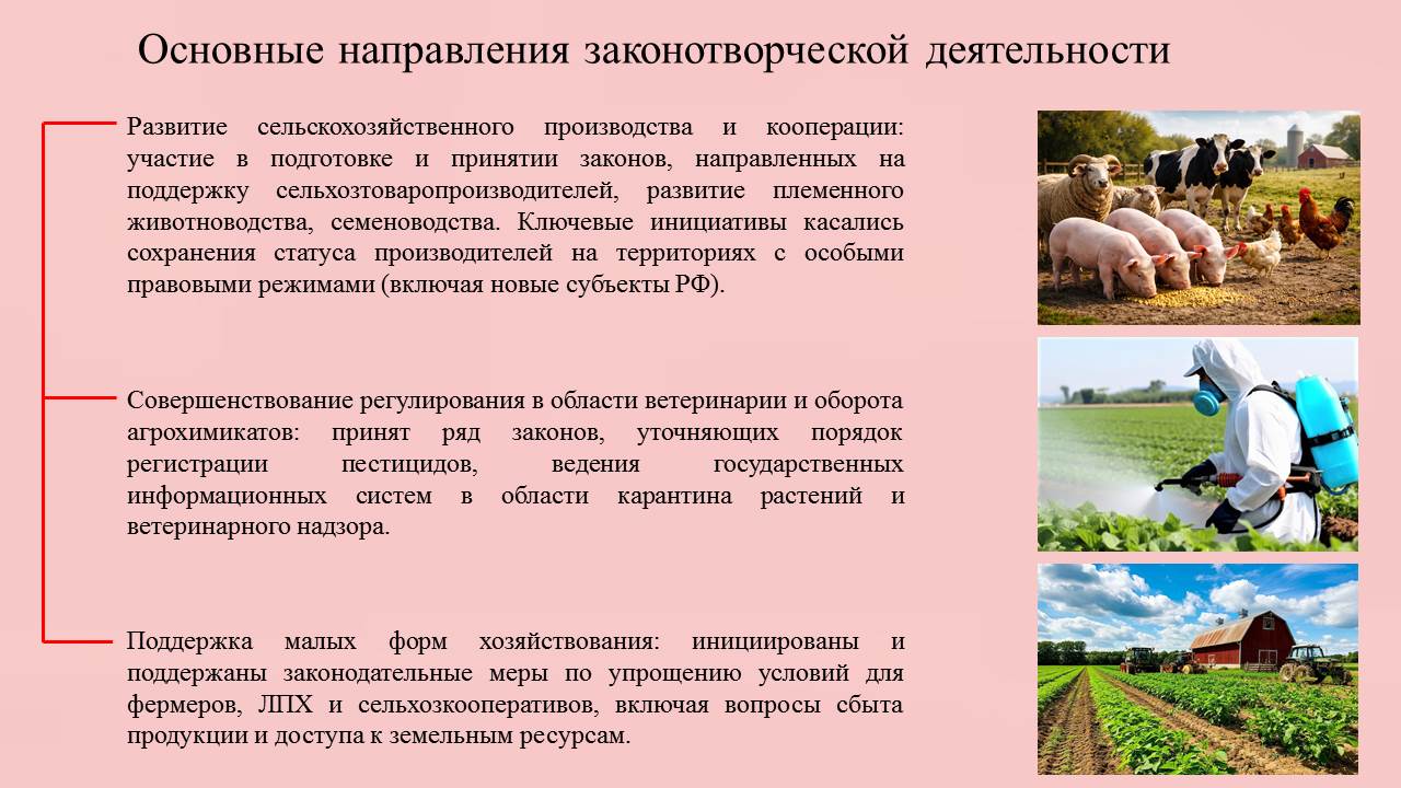 Отчет депутата Государственной Думы Федерального Собрания РФ VIII созыва Николая Васильева
