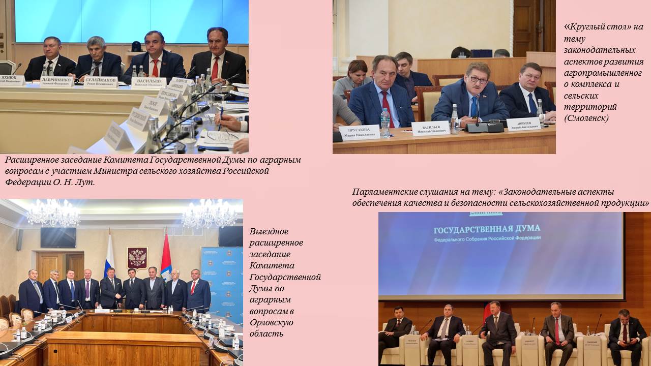 Отчет депутата Государственной Думы Федерального Собрания РФ VIII созыва Николая Васильева