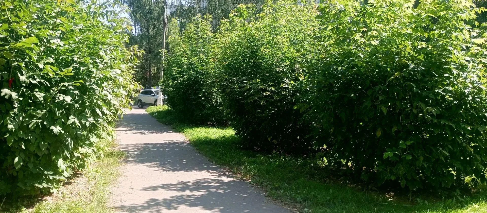 15 августа заместитель председателя Совета депутатов городского округа Подольск Андрей Черепенников и Михаил Чириков организовали встречи с жителями двух домов