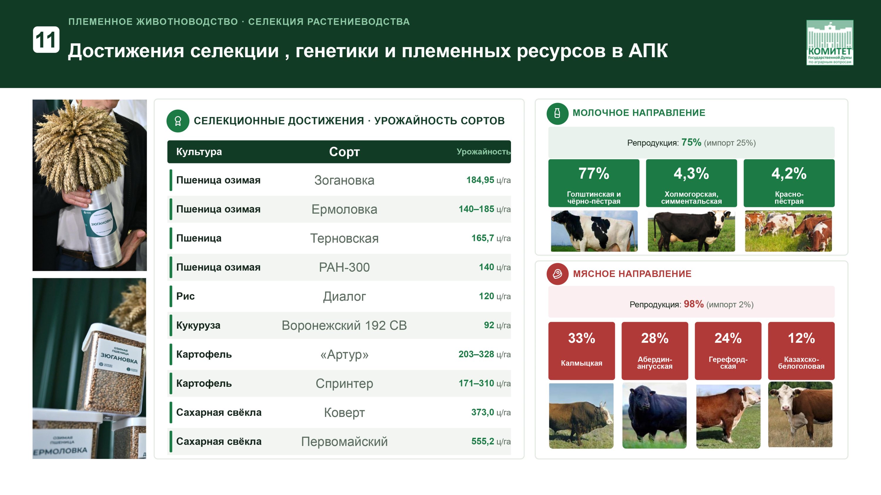 Доклад Владимира Кашина на XVI Международном форуме «Дни сада в Бирюлево»