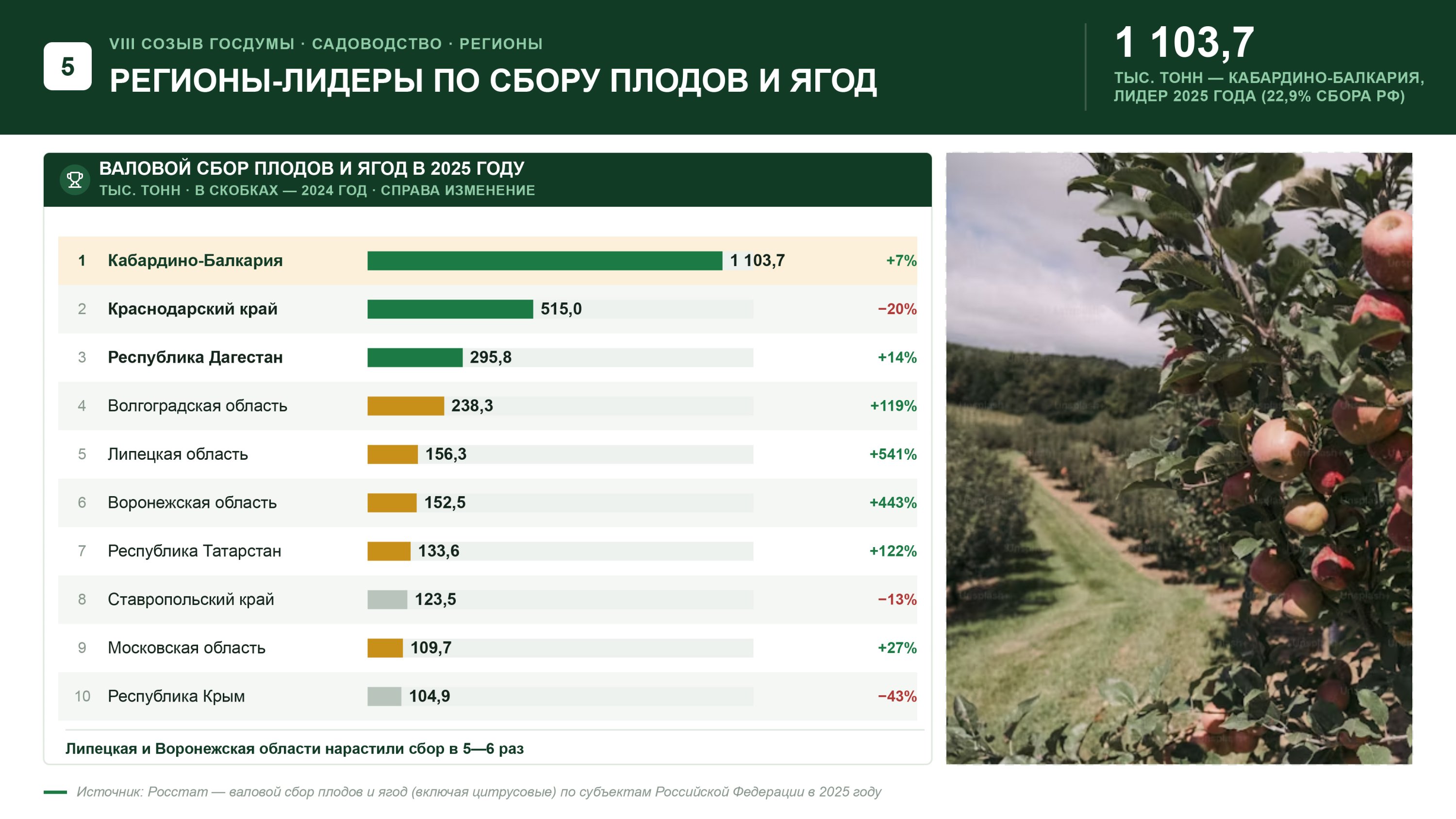 Доклад Владимира Кашина на XVI Международном форуме «Дни сада в Бирюлево»