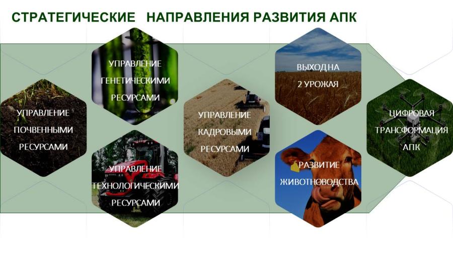 Выступление Владимира Кашина перед трудовым коллективом тепличного комплекса ООО «Весна»/Ставропольский край